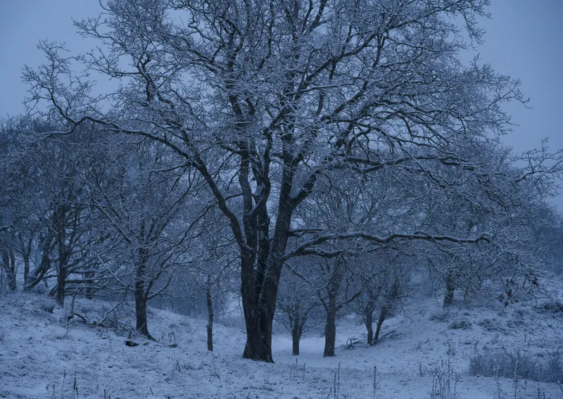 Photography, photo 12