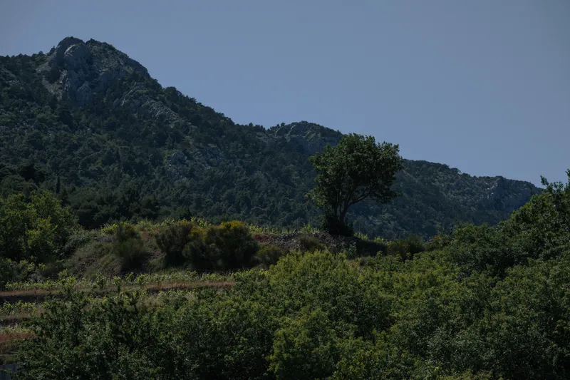 Photography, photo 27